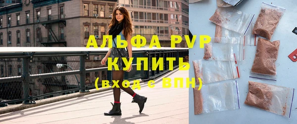 spice Богородицк