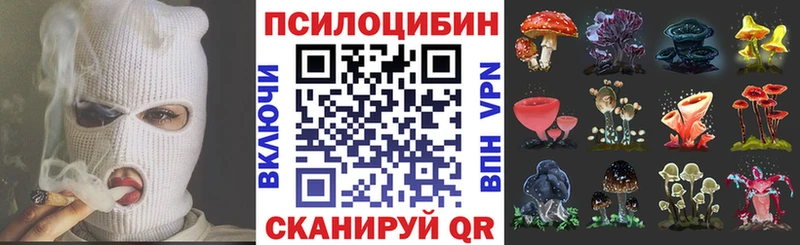 Галлюциногенные грибы прущие грибы  Хабаровск 